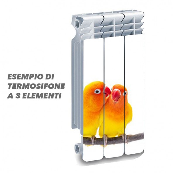 Termosifone PAPPAGALLI Rivestimento Adesivo Laminato Stickers Termosifone Wrapping Interior Design