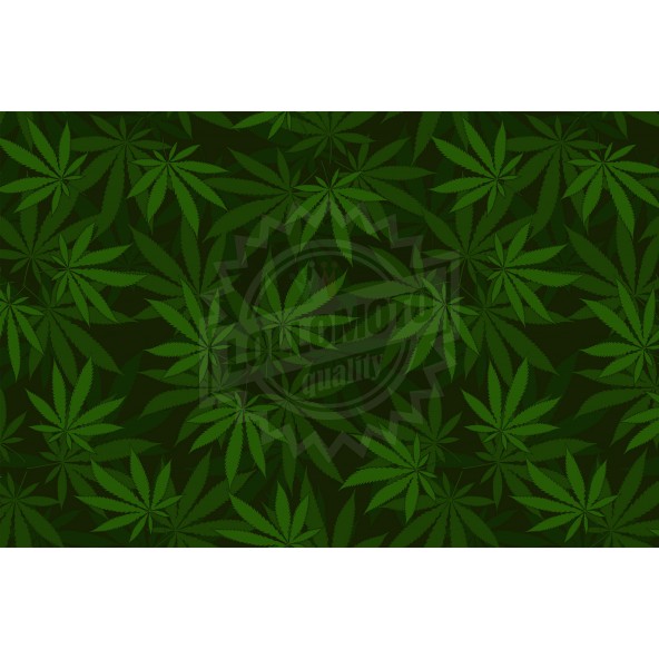 Pellicola MARIJUANA Pellicola Car Wrapping Adesiva Rivestimento Auto